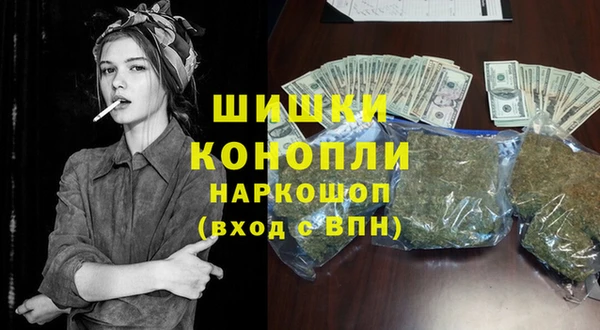 бошки Алексин